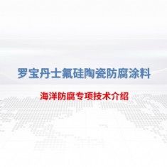 海洋防腐專項(xiàng)技術(shù)